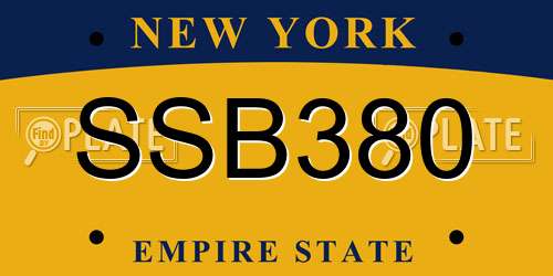 SSB380 New York License Plate