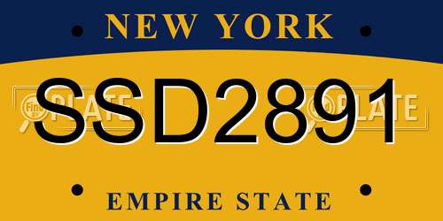 SSD2891 New York License Plate