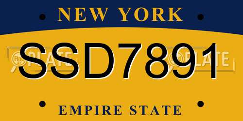SSD7891 New York License Plate