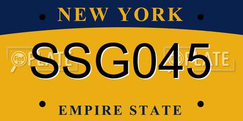 SSG045 New York License Plate