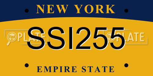 SSI255 New York License Plate