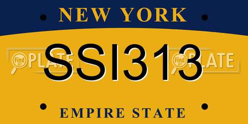SSI313 New York License Plate