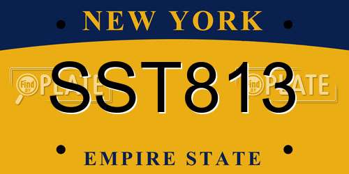 SST813 New York License Plate