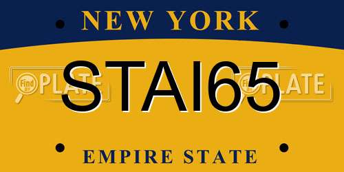 STAI65 New York License Plate