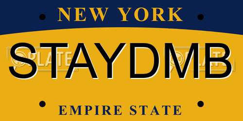 STAYDMB New York License Plate