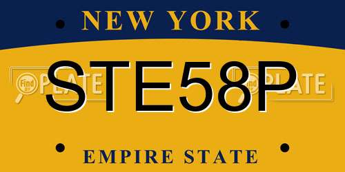 STE58P New York License Plate
