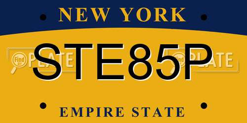 STE85P New York License Plate