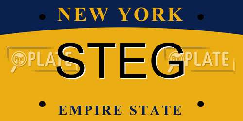 STEG New York License Plate