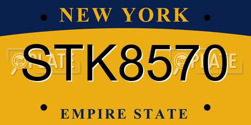 STK8570 New York License Plate