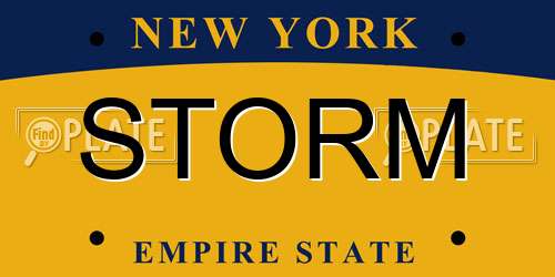 STORM New York License Plate