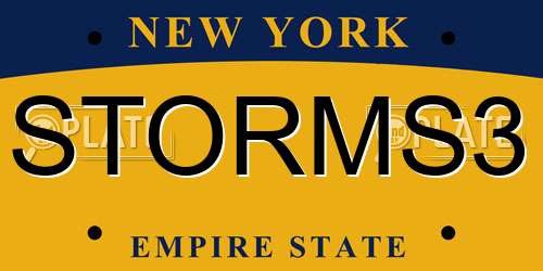 STORMS3 New York License Plate