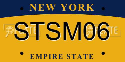 STSM06 New York License Plate