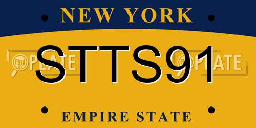 STTS91 New York License Plate