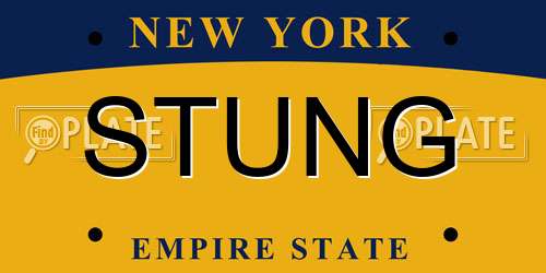 STUNG New York License Plate