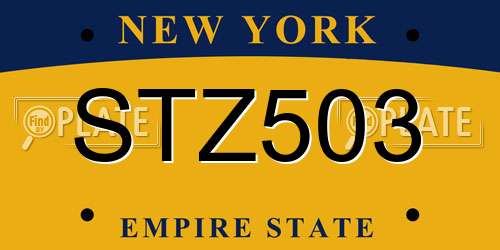 STZ503 New York License Plate