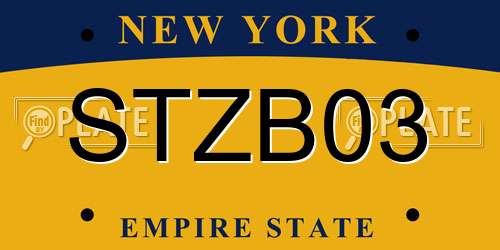 STZB03 New York License Plate