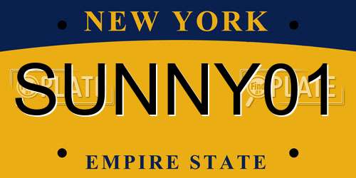 SUNNY01 New York License Plate