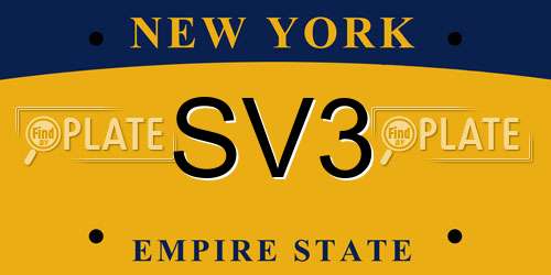 SV3 New York License Plate