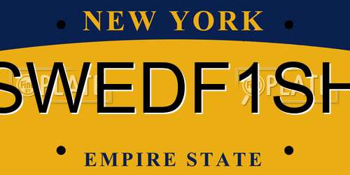 SWEDF1SH New York License Plate