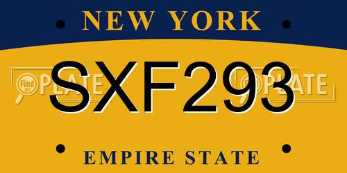 SXF293 New York License Plate