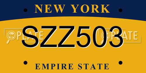 SZZ503 New York License Plate
