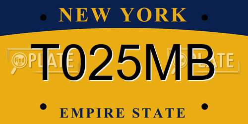 T025MB New York License Plate