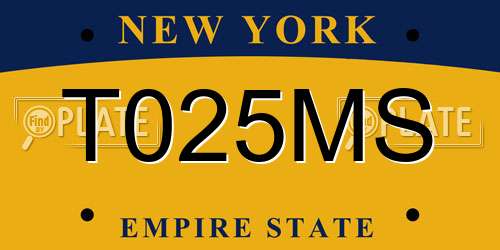 T025MS New York License Plate