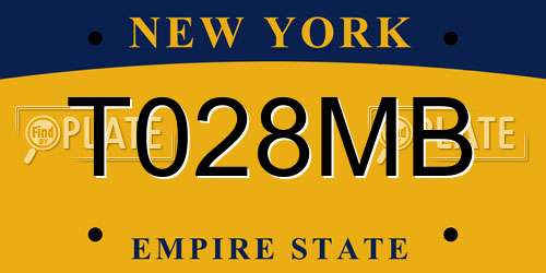T028MB New York License Plate