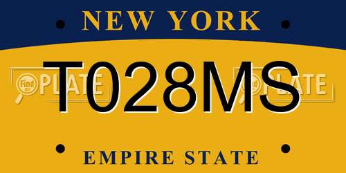 T028MS New York License Plate