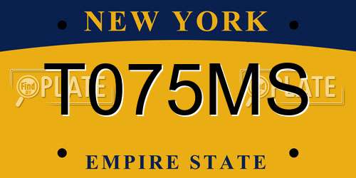 T075MS New York License Plate