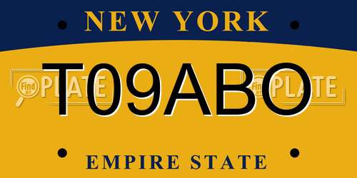 T09ABO New York License Plate