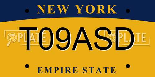 T09ASD New York License Plate