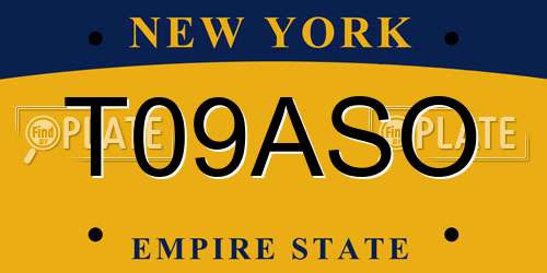 T09ASO New York License Plate