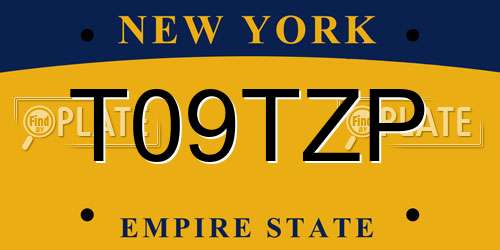 T09TZP New York License Plate
