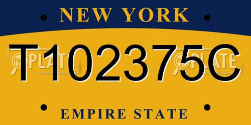 T102375C New York License Plate