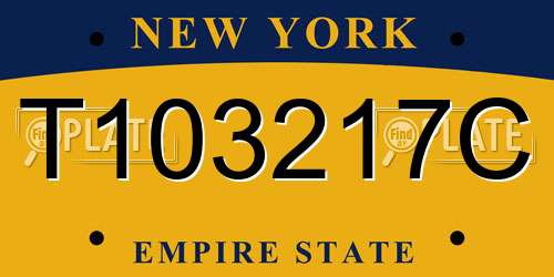 T103217C New York License Plate