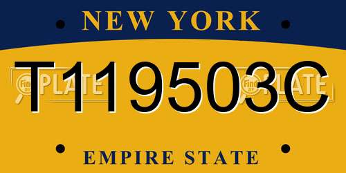 T119503C New York License Plate