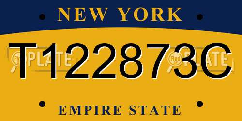 T122873C New York License Plate
