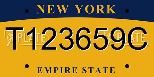T123659C New York License Plate