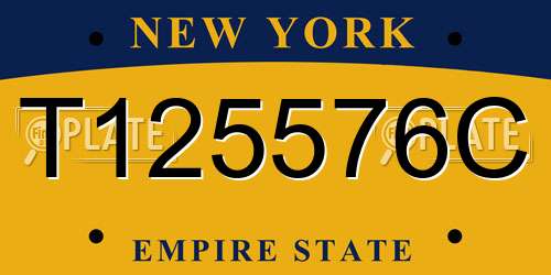 T125576C New York License Plate