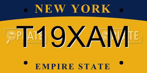 T19XAM New York License Plate
