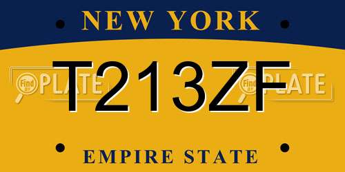 T213ZF New York License Plate