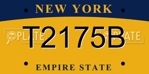 T2175B New York License Plate