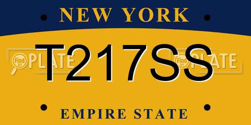 T217SS New York License Plate