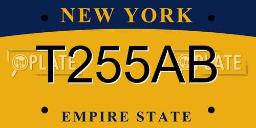 T255AB New York License Plate