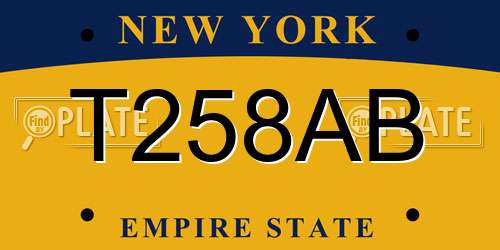T258AB New York License Plate