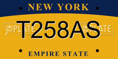 T258AS New York License Plate