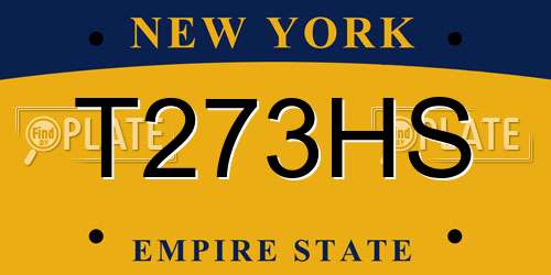 T273HS New York License Plate