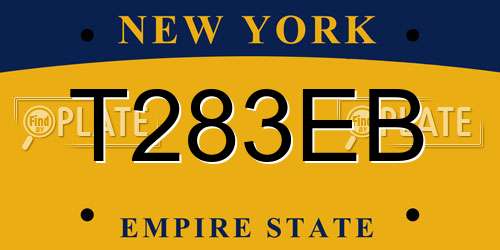 T283EB New York License Plate