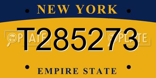 T285273 New York License Plate
